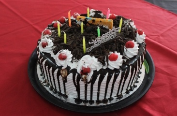 Birthday Celebration 3